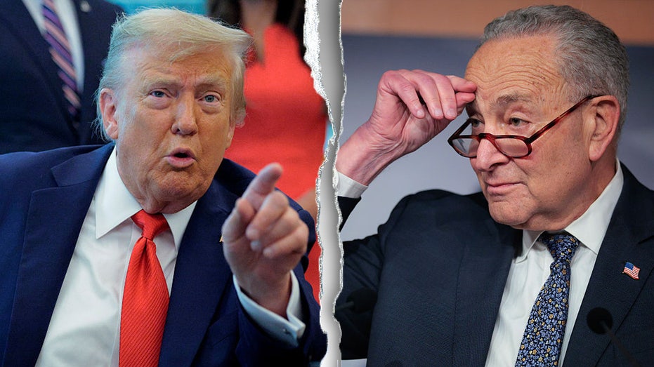 Trump slams Democrats for ‘shutting down’ government, demands it reopen ‘tonight’