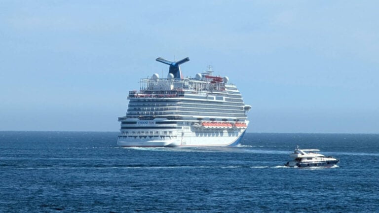 Missing Passenger Search on Carnival Panorama Ends in Overboard