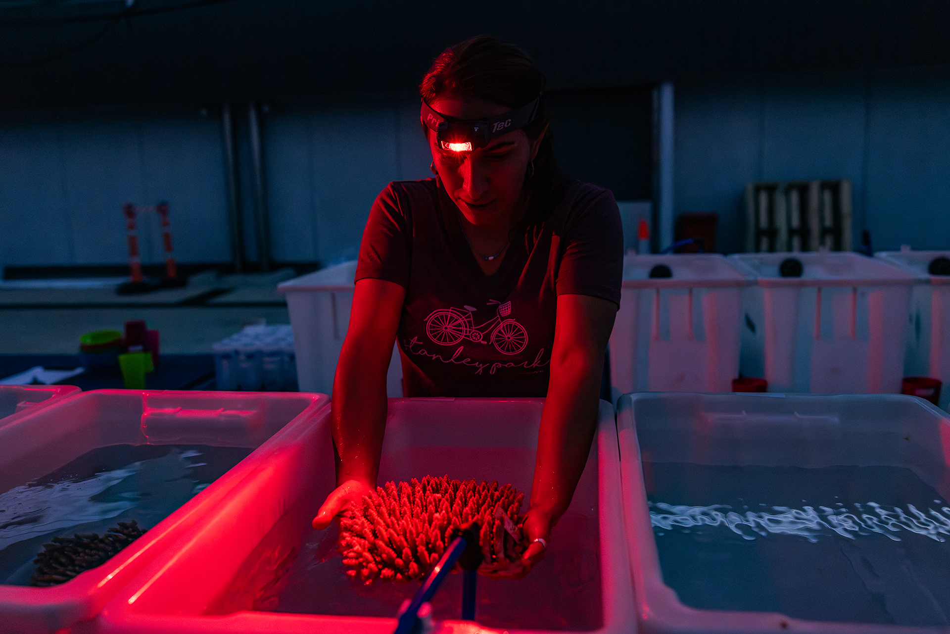 An exclusive look inside the largest effort ever mounted to keep the Great Barrier Reef alive