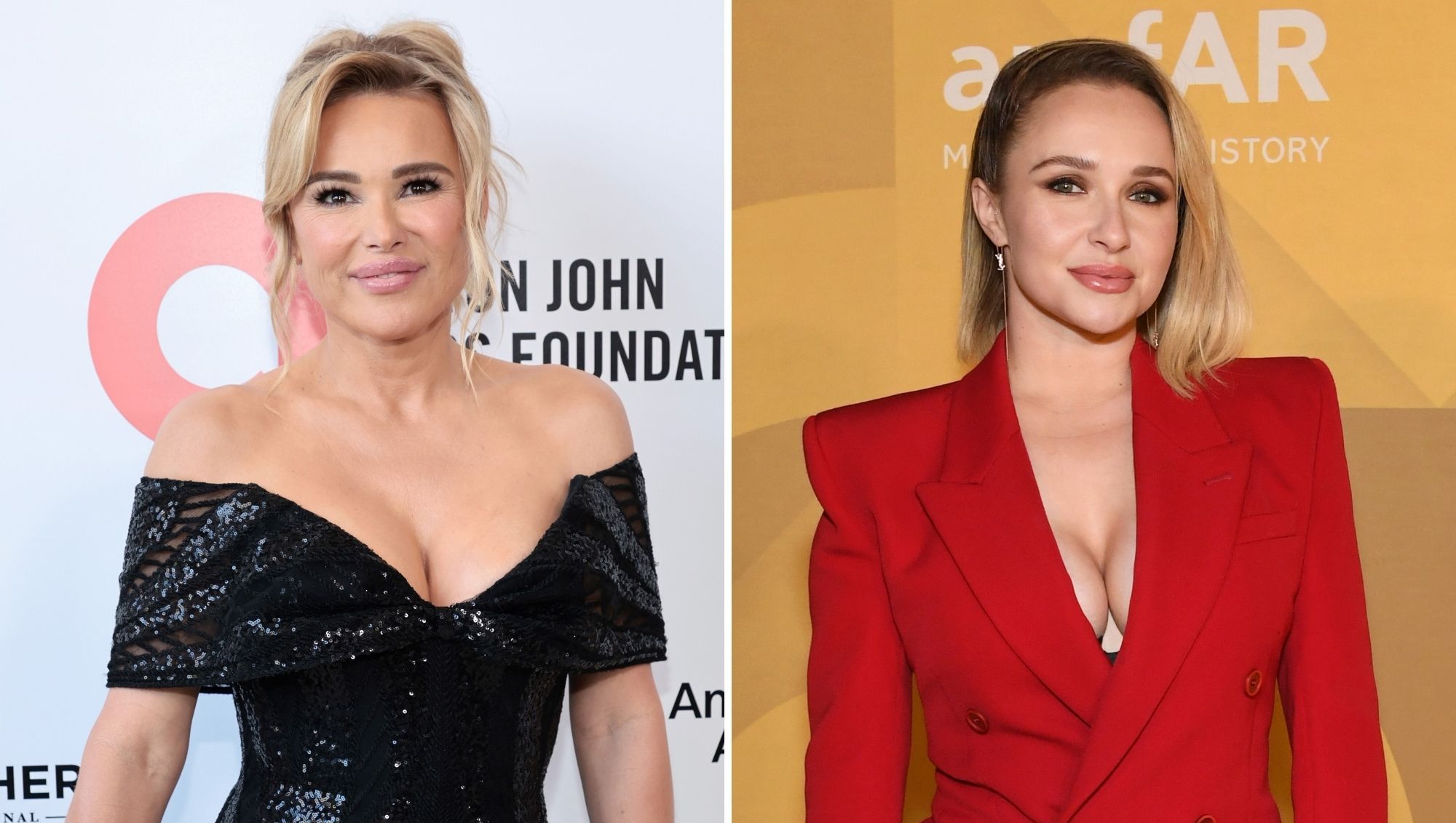 Diana Jenkins Denies She Pushed Hayden Panettiere Into Bed With Famous Man