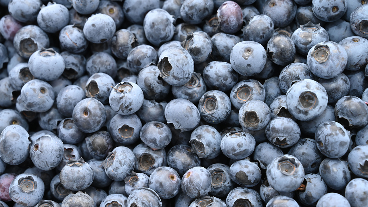 Life-threatening Listeria risk prompts massive frozen blueberry recall across multiple states