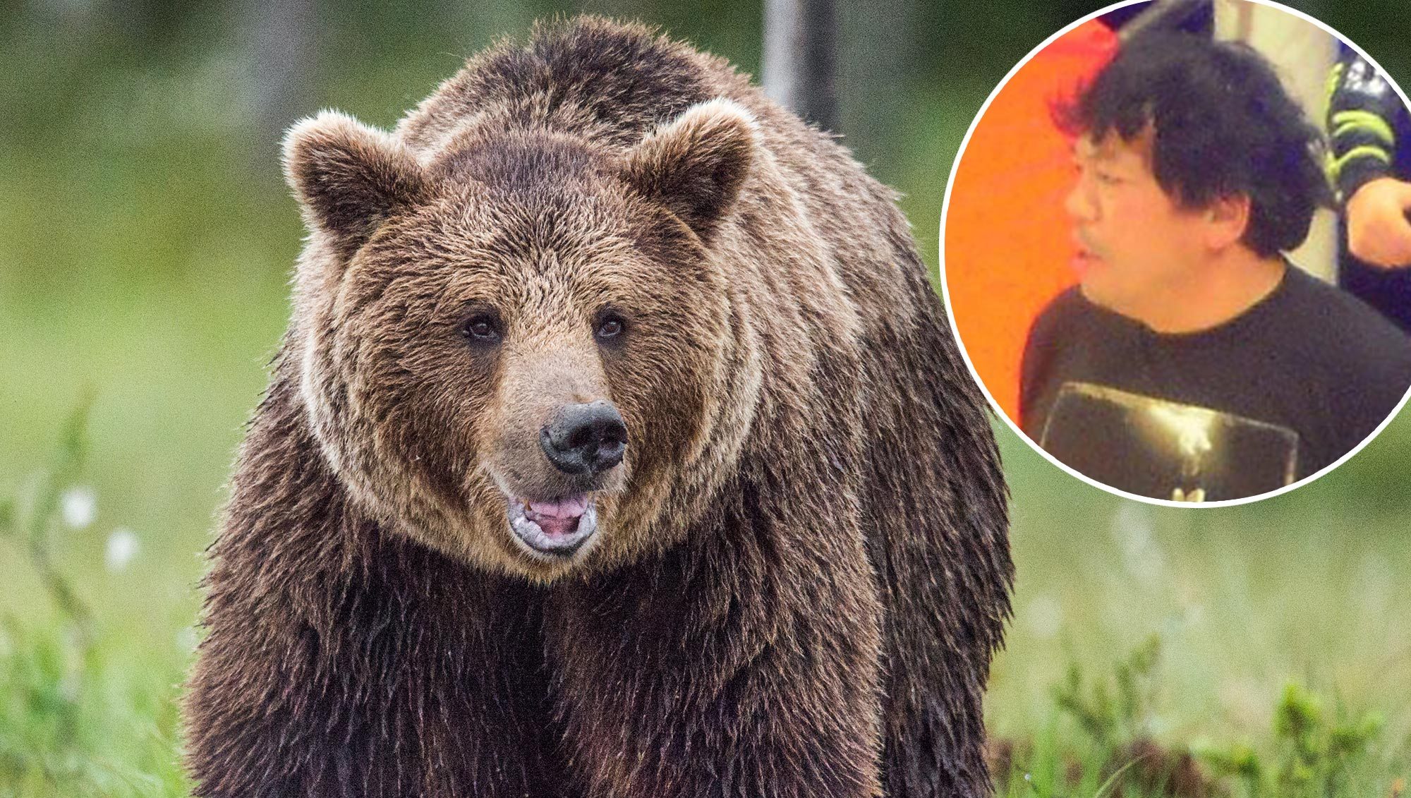 Beloved Professional Wrestling Referee Killed in Horrifying Bear Attack