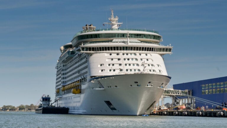 Power Outage at Royal Caribbean Terminal Sparks Long Delays for Passengers