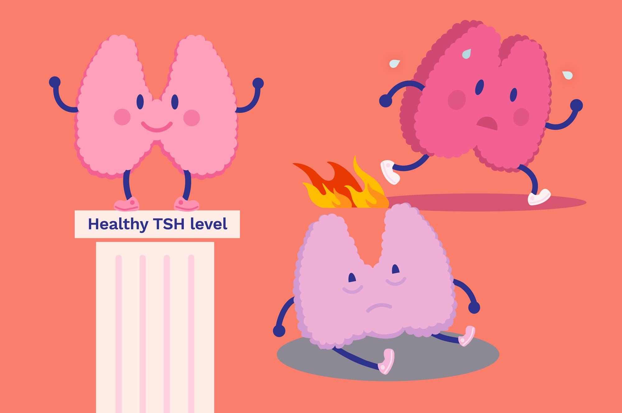 Making Sense of Your Thyroid Lab Results