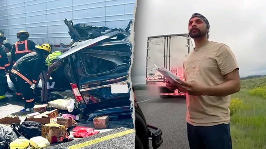 Blue states deflect blame in Trump probe after illegal immigrant trucker crash kills 3 in Florida