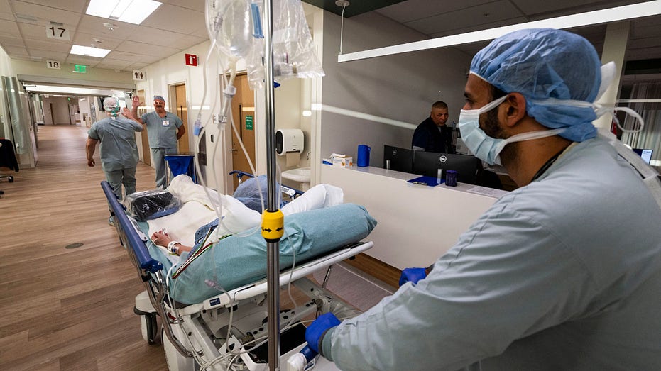 Medical watchdog challenges key study used to justify DEI health policies: 'Scientifically unsound'