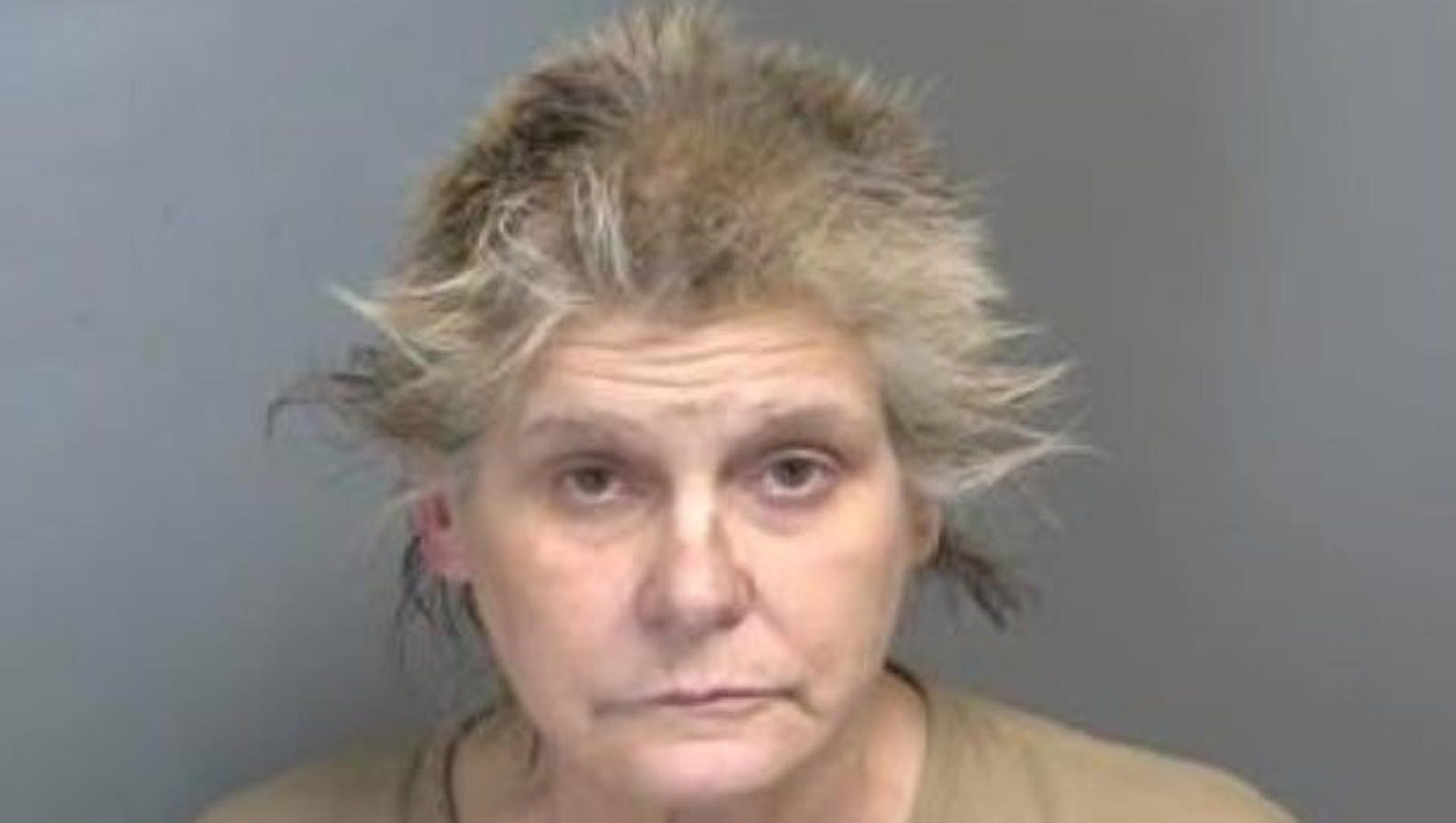 Woman Accused of Drug Dealing Loses Ownership of Dogs, Turtles, Judge Rules