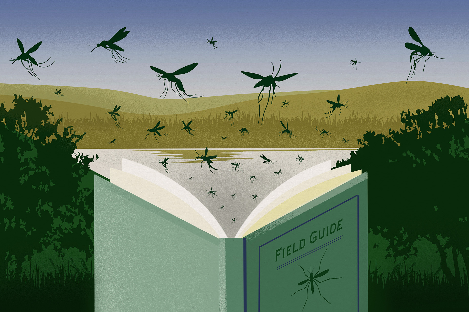Your guide to identifying the 7 most dangerous mosquitoes in the US