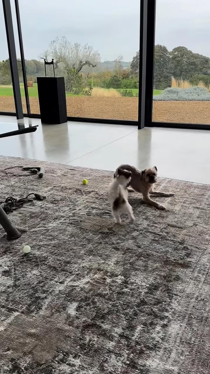 Ellen DeGeneres Gives a Glimpse Inside Her English Home With Portia de Rossi