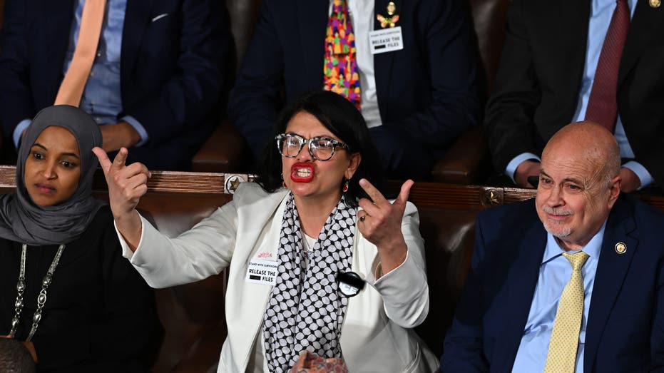 'Squad' member wears 'F--- ICE' pin on House floor during Trump address