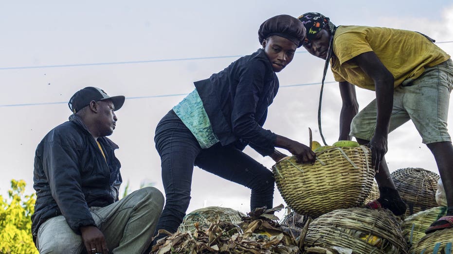 $93 million in aid to fight malnutrition headed to 12 African countries, Haiti, State Dept says