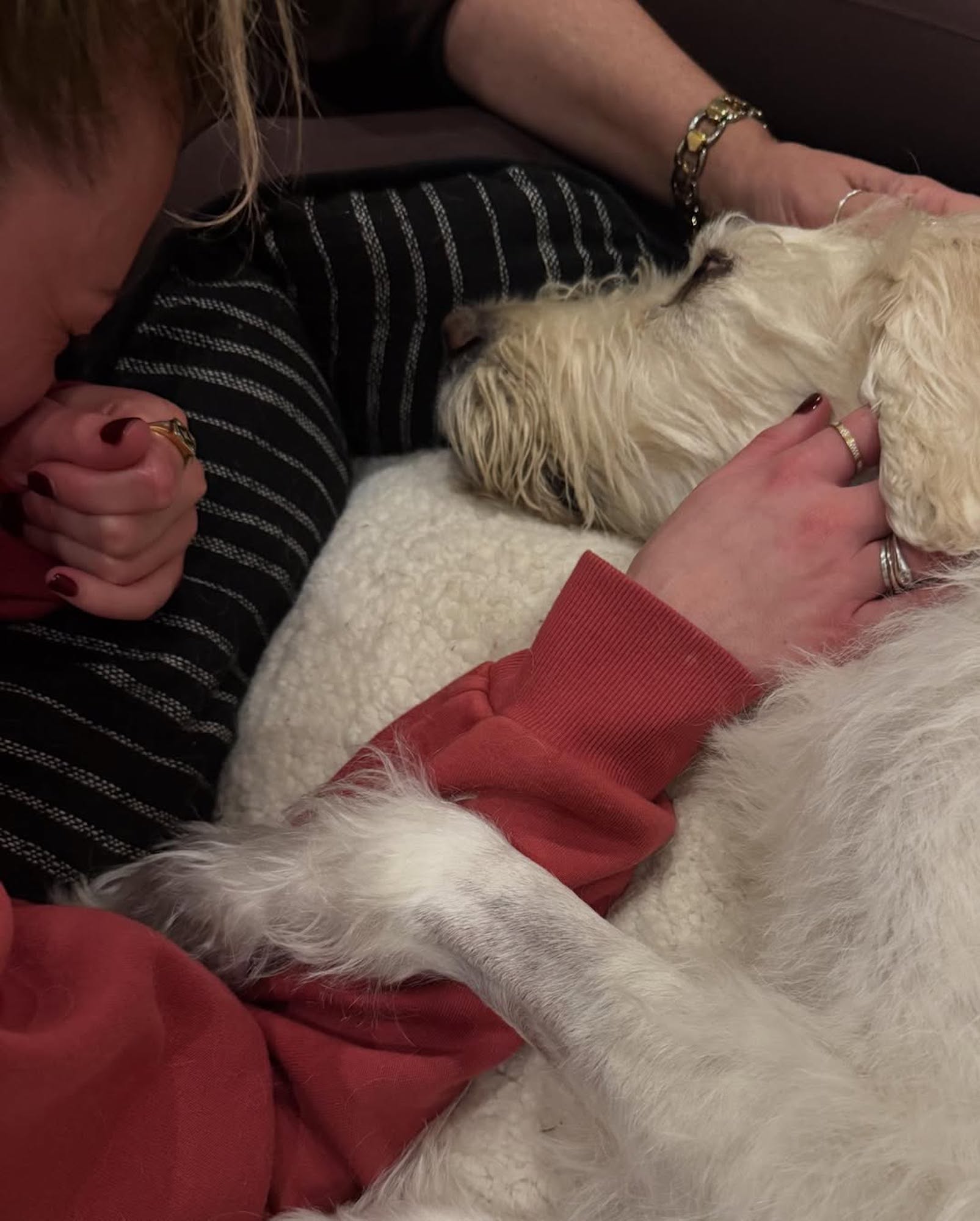 Kelsea Ballerini Mourns 'Soul Dog' Dibs' Death After Lengthy Cancer Battle