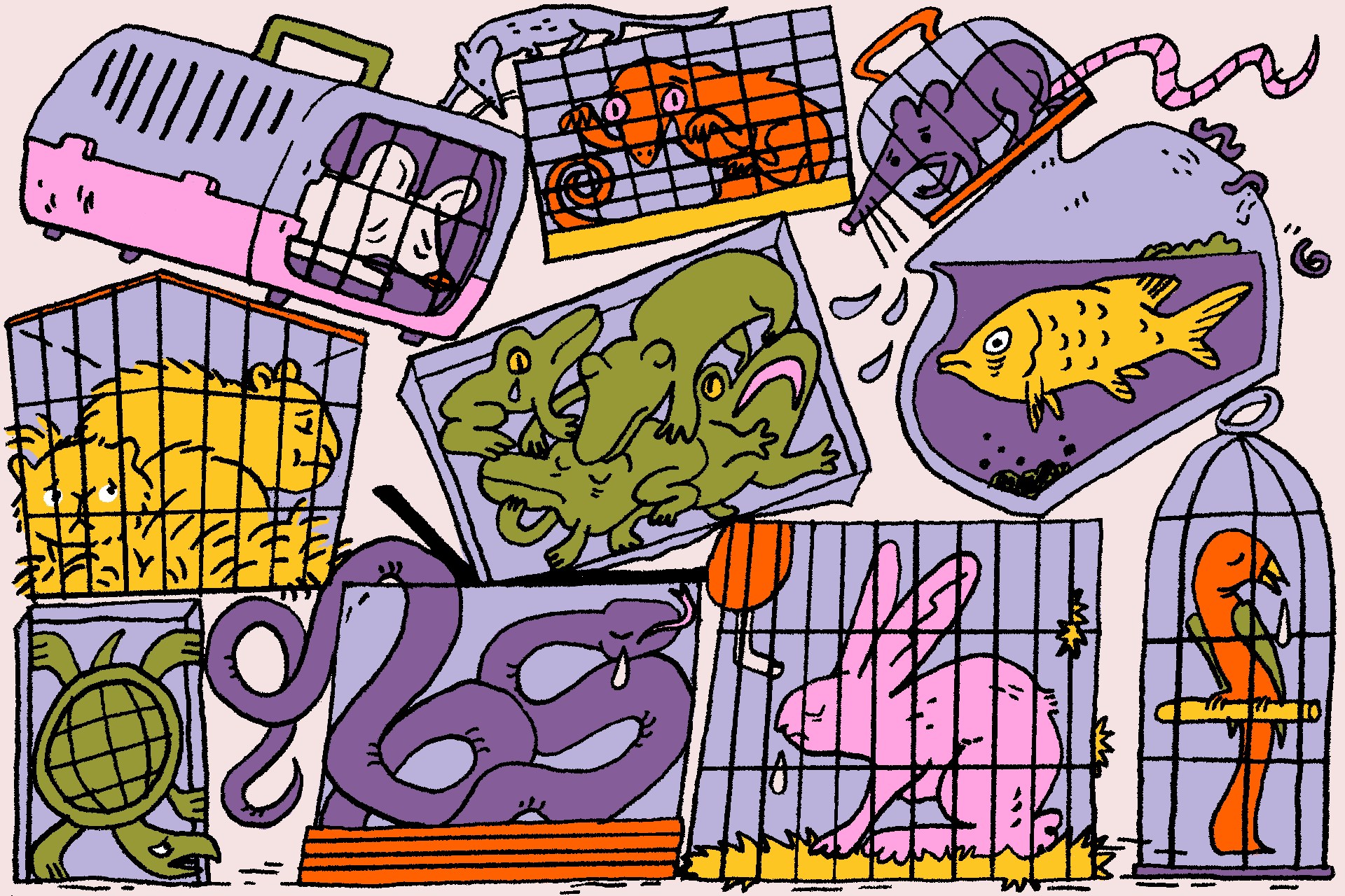 The big case against owning small pets