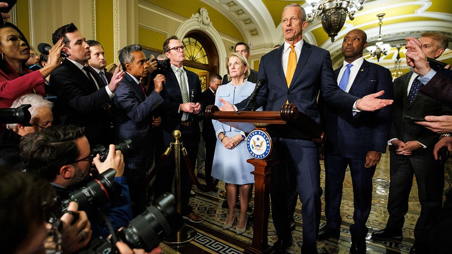 Thune, GOP reject pushing 'rifle-shot' government funding bills during shutdown